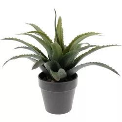 купить Садовая фигура ProGarden 49435 Plantă decorativă de Aloe 25cm, în ghiveci, gri в Кишинёве 