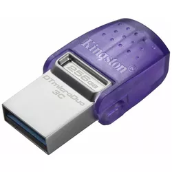 cumpără USB flash memorie Kingston DTDUO3CG3/256GB în Chișinău 