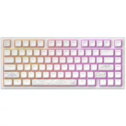 cumpără Tastatură gaming Dark Project ALU Terra Nostra White în Chișinău 