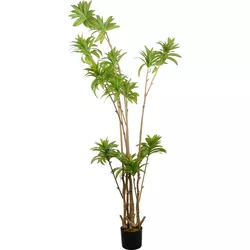 купить Искусственное растение Deco Arbore Dracaena Reflexa в Кишинёве 