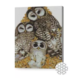 купить Картина по номерам Art Gallery XQB84048 Mozaic cu diamante 30x40cm Familia de bufnite в Кишинёве 