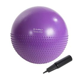 Мяч гимнастический с насосом d=55 см HMS 17-42-130 violet (4827)