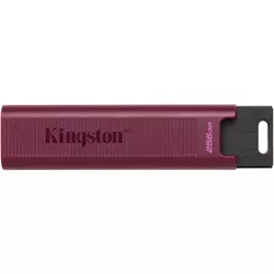 cumpără USB flash memorie Kingston DTMAXA/256GB în Chișinău 