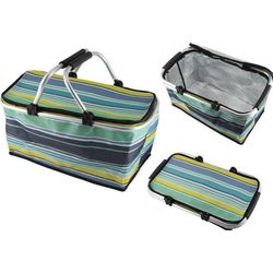 купить Сумка холодильник miscellaneous 485-2 cкладная термосумка, 30 L в Кишинёве 