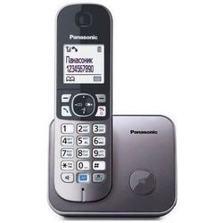купить Телефон беспроводной Panasonic KX-TG6811UAM в Кишинёве 