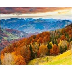 купить Картина по номерам ToyMall 004042 Mozaic cu diamante 40x50 в Кишинёве 