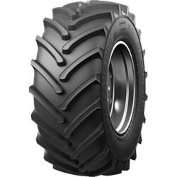 купить Шина Rosava 21.3 R24 (540/70R24) 140 A6 (A8 ИЯВ-79У) TR-102 с кам. Т-150 в Кишинёве 
