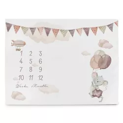 cumpără Covoraș de joacă Ceba Baby W-309-000-727 Covoras Milestone Mat Basic Mouse, 92x72cm în Chișinău 