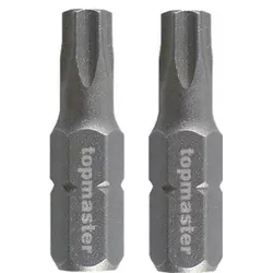 купить Набор головок, бит, насадок Topmaster 330359 биты torx 1/4 Т30, 2шт в Кишинёве 