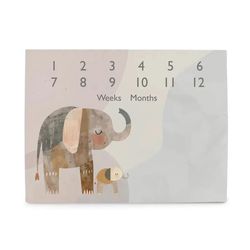 cumpără Covoraș de joacă Ceba Baby W-309-000-781 Covoras Milestone Mat Basic Elephant Family, 92x72cm în Chișinău 
