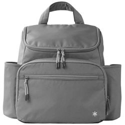 купить Сумка для мам Skip Hop 9V050410 Forma Next Grey в Кишинёве 