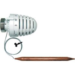 cumpără Supapă de închidere HERZ Cap termostatic cu capilar M 30x1.5 20-50C 1942088 în Chișinău 