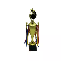 cumpără Echipament sportiv misc 8082 Cupa h-45 cm 1811-979 plastic în Chișinău 