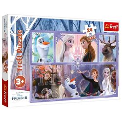 купить Головоломка Trefl 14345 Puzzles - 24 Maxi - A world full of magic в Кишинёве 