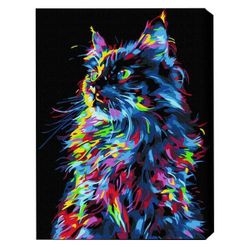 cumpără Tablou pe numere BrushMe BSB0021FC 40x50сm (pânză neagră/fără cutie) Pisica magică în Chișinău 