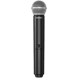 купить Микрофон SHURE BLX24E/SM58-K14 в Кишинёве 