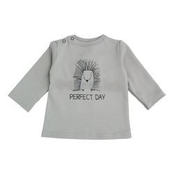 купить Детская одежда Minikin 242290368 Hedgehog Лонгслив серый 3-6мес в Кишинёве 