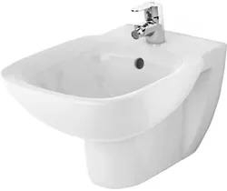 купить Биде Roca Debba A355995000 в Кишинёве 