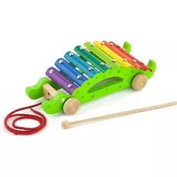 cumpără Jucărie Viga 50342 Pull-along Xylophone Croc în Chișinău 