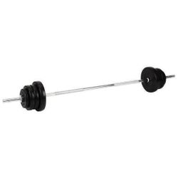 купить Гантель Arena 801360 штанга 60 кг гриф d=26mm пластиковые блины в Кишинёве 