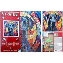 купить Картина по номерам Strateg 57338 Pictura cu diamant 30x30cm Privire neagra в Кишинёве 