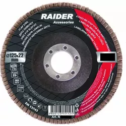 купить Диск шлифовальный Raider 164119 125мм (А-60) в Кишинёве 