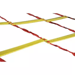 cumpără Echipament sportiv Yakimasport 1055 Scara antrenament 6m, 100102, 3D (trei scari fixate) în Chișinău 