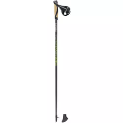 cumpără Bețe pentru trekking Masters NW PHYSIQUE 0.6 Carbon 115cm (01N0219 115) în Chișinău 