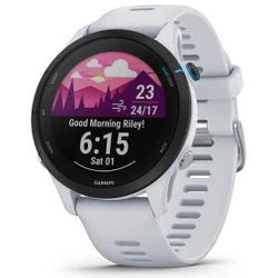 купить Смарт часы Garmin Forerunner 255 Music Whitestone (010-02641-31) в Кишинёве 