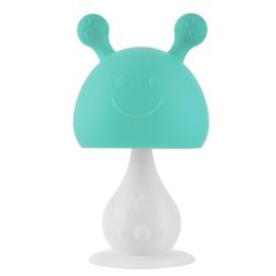 cumpără Iinel dentiție Roxy Kids RST-001-B Грибочек с держателем, в футляре, мятный în Chișinău 