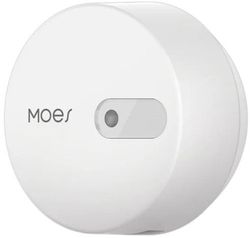 купить Датчик движения Moes ZSS-LP-HP02-MS в Кишинёве 