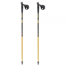 cumpără Bețe pentru trekking Masters NW PHYSIQUE 0.1 Carbon 125 cm 01N0319 125 în Chișinău 