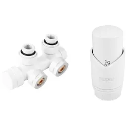 купить Запорная арматура Ferro ZTD30WH комплект термостатческий двойной1/2 угловой в Кишинёве 