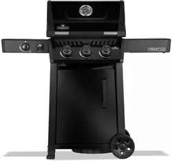 купить Мангал Napoleon Gratar pe gaz Freestyle 365 cu aragaz lateral (F365DSBPK-1-CZ) в Кишинёве 