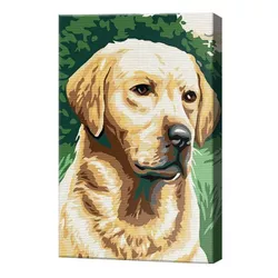 купить Картина по номерам Art Gallery CX3801 20x30cm Labrador в Кишинёве 