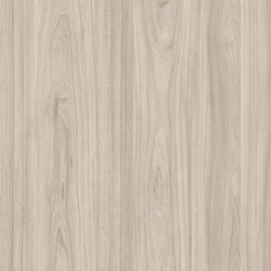 PAL Swiss Krono 8141 MT CHAMPAGNE ELM