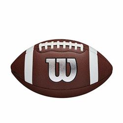 Мяч для американского футбола NFL LEGEND LOGO OFF BULK DEF WTF1729XBWilson (3407)