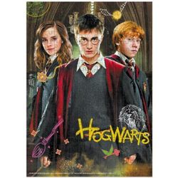 cumpără Puzzle Dodo 200498 Puzzle Harry și prieteni, seria Harry Potter, 250el în Chișinău 