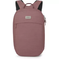 cumpără Rucsac pentru oraș Osprey Arcane Large Day Purple Garnet Heather (810165743458) în Chișinău 
