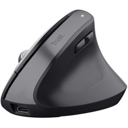 купить Мышь Trust TR25146 Bayo+, Black в Кишинёве 