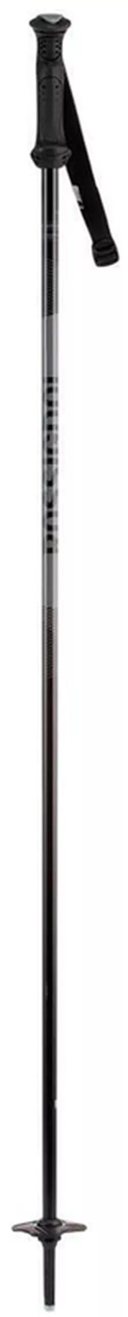 купить Лыжные палки Rossignol Tactic Jr Grey 100 (RDI6030) в Кишинёве 