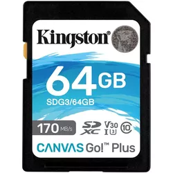 cumpără Card de memorie flash Kingston SDG3/64GB în Chișinău 