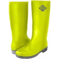 купить Спецобувь Dyllu DTRB1L45 (51568) в Кишинёве 