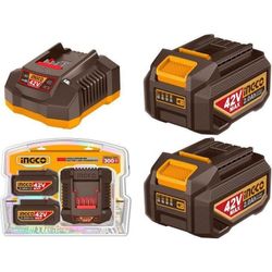 cumpără Încărcătoare și Acumulatoare INGCO FBCPM20221 (51751) în Chișinău 