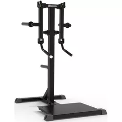 cumpără Banca pentru antrenament de forţă Impulse 54777 Standing Lateral Raise IFP1103-WX în Chișinău 
