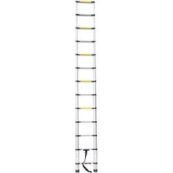 купить Лестница Hoteche 480005 3,8м 150кг 13 ступеней в Кишинёве 