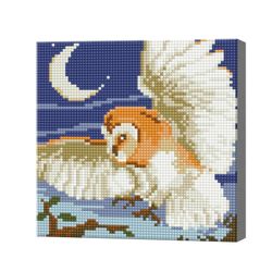 Ночной полет совы, 20x20 см, алмазная мозаика