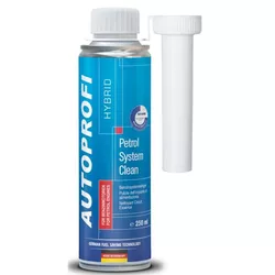 купить Автохимия Bluechem 43934 Detergent catalizator sonda lambda Hybrid 250 ml в Кишинёве 