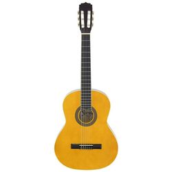 cumpără Chitară Fiesta Aria 4/4 FST-200 Natural + husa în Chișinău 