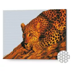 купить Картина по номерам Art Gallery GA79017 Mozaic cu diamante 40x50cm Leopard в Кишинёве 